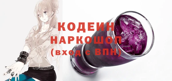МДПВ Инсар