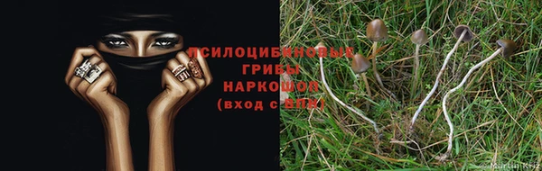 меф Зеленокумск