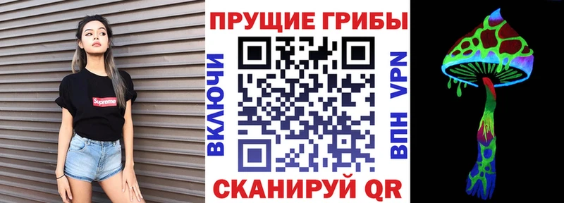 Псилоцибиновые грибы Psilocybe  Калязин 